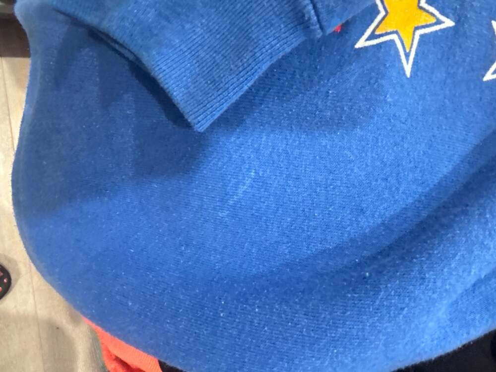 Fruit of the Loom Blue Toronto Blue Jays Graphic Crewneck Sweatshirt - Picture 7 of 7